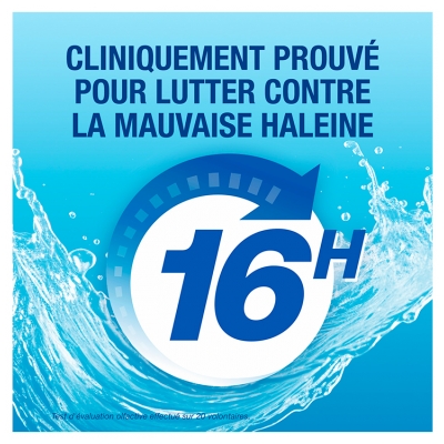 CB12 Mild Mint 12 Heures Bain de Bouche 250 ml