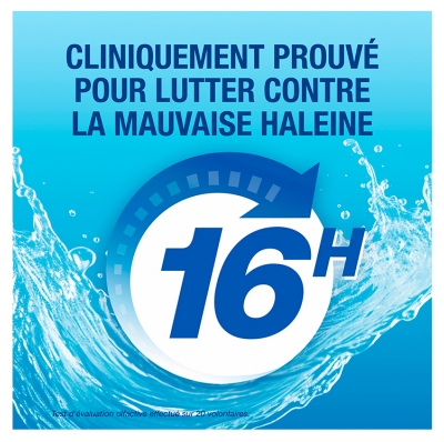 CB12 12 Heures Bain de Bouche 500 ml