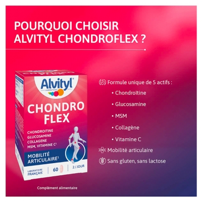 Alvityl Chondro Flex 60 Comprimés