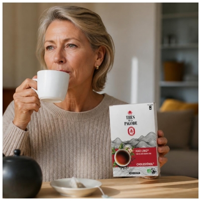 Thés de la Pagode Hao Ling Thé Pu-Erh Grand Cru Cholestérol Bio 90 Sachets