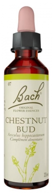Flores de Bach Original Chestnut Bud 20 ml (a consumir de preferência antes de 31/07/2026)