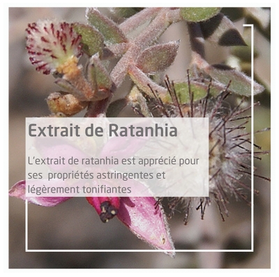 Weleda Pâte Dentifrice au Ratanhia 75 ml