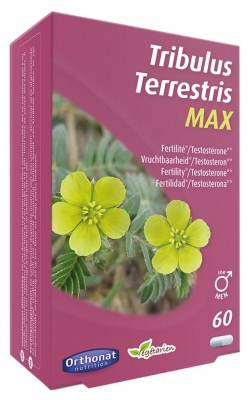 Tribulus Terrestris Max Vruchtbaarheid Voor Mannen 60 Capsules (ten minste houdbaar tot 30-09-2026)