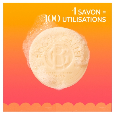 Roger & Gallet Oeillet Mignardise Savon Bienfaisant 100 g