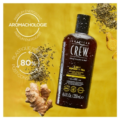 American Crew 3-En-1 GingembreThé, Shampooing, Après Shampooing & Gel Douche pour Cheveux et Corps (250ml), Revitalisant et hydratant.