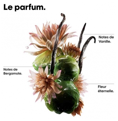 L'Oréal Professionnel Absolut Repair Molecular Shampoing Professionnel 100 ml + Huile Bi-Phase Réparatrice 30 ml