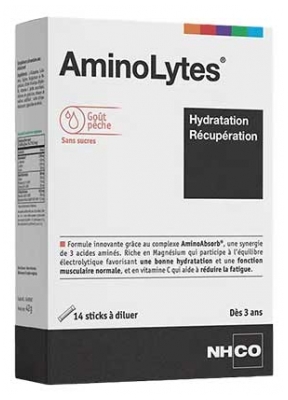 NHCO AminoLytes Hydratatie Herstel 14 Sticks - Smaak: Vissen