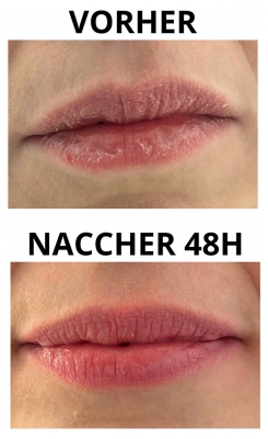 Pomponne Le Fantastick Balsam & Blush 5 g