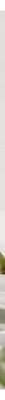 Loua Scrubbing Nose Patch 2 Patches 5 ml