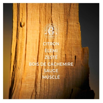 Roger & Gallet Cologne Twist Eau de Cologne 100 ml + Gel Douche 200 ml Offert