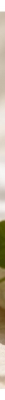 Skin1004 Madagaskaro Centella kremas 30 ml