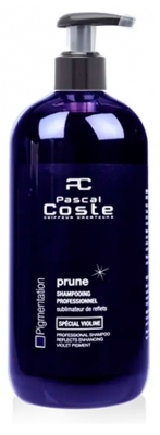 Pascal Coste Shampooing Sublimateur de reflets Prune 500 ml