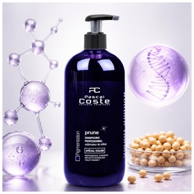 Pascal Coste Reflectieversterkende Pruim Shampoo 500 ml