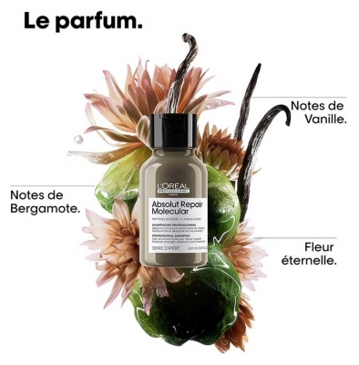 L'Oréal Professionnel Absolut Repair Molecular Shampoing Professionnel 100 ml