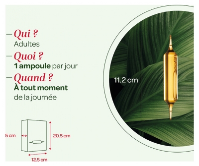 Superdiet Quatuor Circulation Bio 20 Ampoules