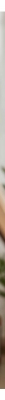 Natessance Óleo Tez Bronzeada Cenoura 50 ml