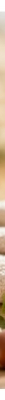 Le Petit Olivier Sabonete Extra Suave Surgras com Óleo de Argan 250 g