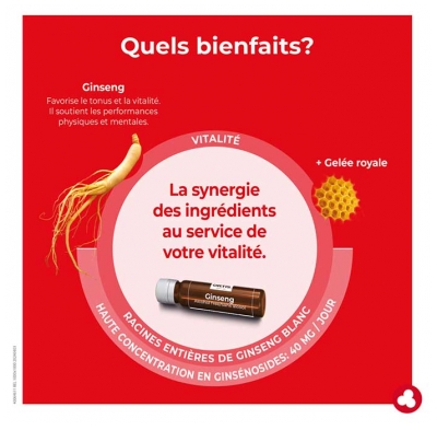 Ortis Ginseng Vitalité Bio 20 Fioles