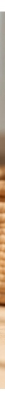 Jia Paris Uzamykací sérum-olej 3v1 50 ml