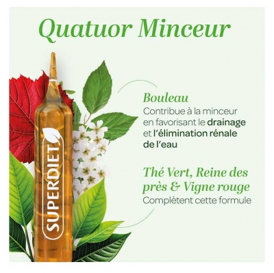 Superdiet Quatuor Thé Vert Minceur Bio 20 Ampoules