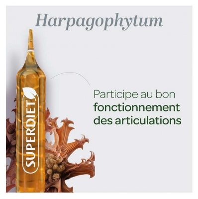 Superdiet Harpagophytum Bio 20 Ampoules