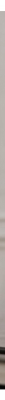 Vitry tualetinis vanduo Vent d'Argent 100 ml