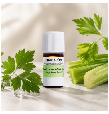 Pranarôm Essential Oil Lovage (Levisticum Officinale) 5ml