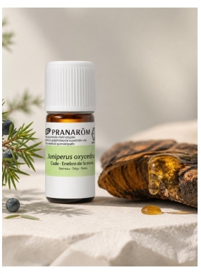 Pranarôm Cade Ätherisches Öl (Juniperus Oxycedrus) Bio 5 ml