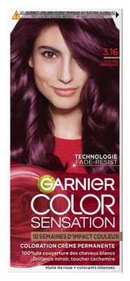 Garnier Color Sensation Coloration Permanente 100 ml