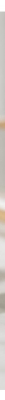 Mavala Super Base Unterlack 5 ml
