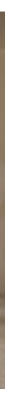Generik Color Mask Brun Chocolat 200 ml