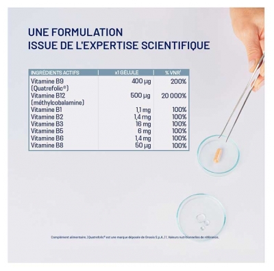 Alvityl Assimyl+ Complexe Vitamine B 60 Gélules