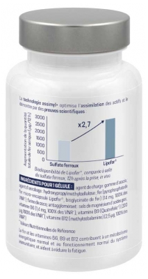 Alvityl Assimyl+ Rauta 60 kapselia