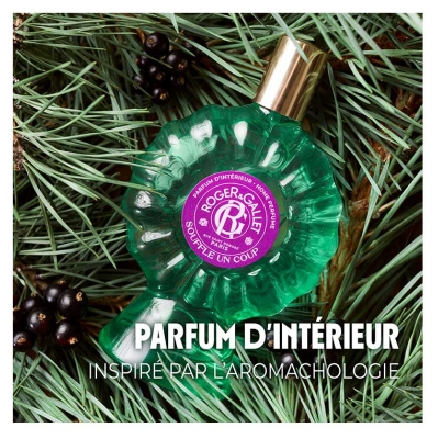 Roger & Gallet Souffle un Coup Parfum d'Intérieur 100 ml