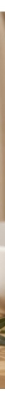 BeauTerra Gel de Ducha Extra Suave Surgras 1 L
