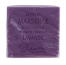 Lavanda