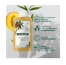 Klorane Nutrition - Cheveux Secs Shampoing à la Mangue 400 ml