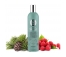 Natura Siberica Shampoing Volume et Pureté pour Cheveux Gras Bio 400 ml