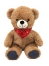 Plic Care Teddy Bear Warm/Cold Plush