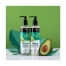 Organic Shop Shampoo Riparatore Naturale All'avocado e Miele 280 ml