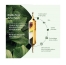 Superdiet Radis Noir - Artichaut Bio 20 Ampoules