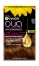 5.3 Light Golden Chestnut
