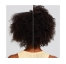 Paul Mitchell Après-shampooing Quotidien Everyday Clean Beauty