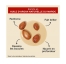 Creme of Nature Soin Perfect 7 Argan