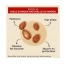 Creme of Nature Shampooing Sans Sulfates Argan