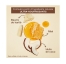 Creme of Nature Après-shampooing Nourrissant Pure Honey