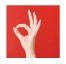 O.P.I Vernis NL Big Apple Red™ OPI