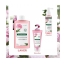 Klorane Shampooing Apaisant Pivoine Bio Klorane 100ml