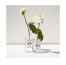 Berdoues Eau de Cologne Rose Berdoues 245ml