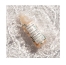 Berdoues Gelée Hydratante Essence Botanique Probiotic